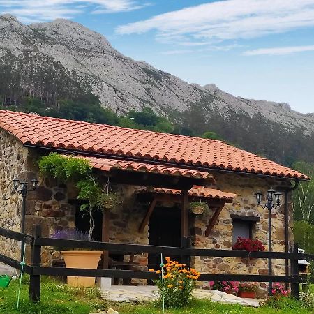 Cabana Del Jerreru Alea Екстериор снимка